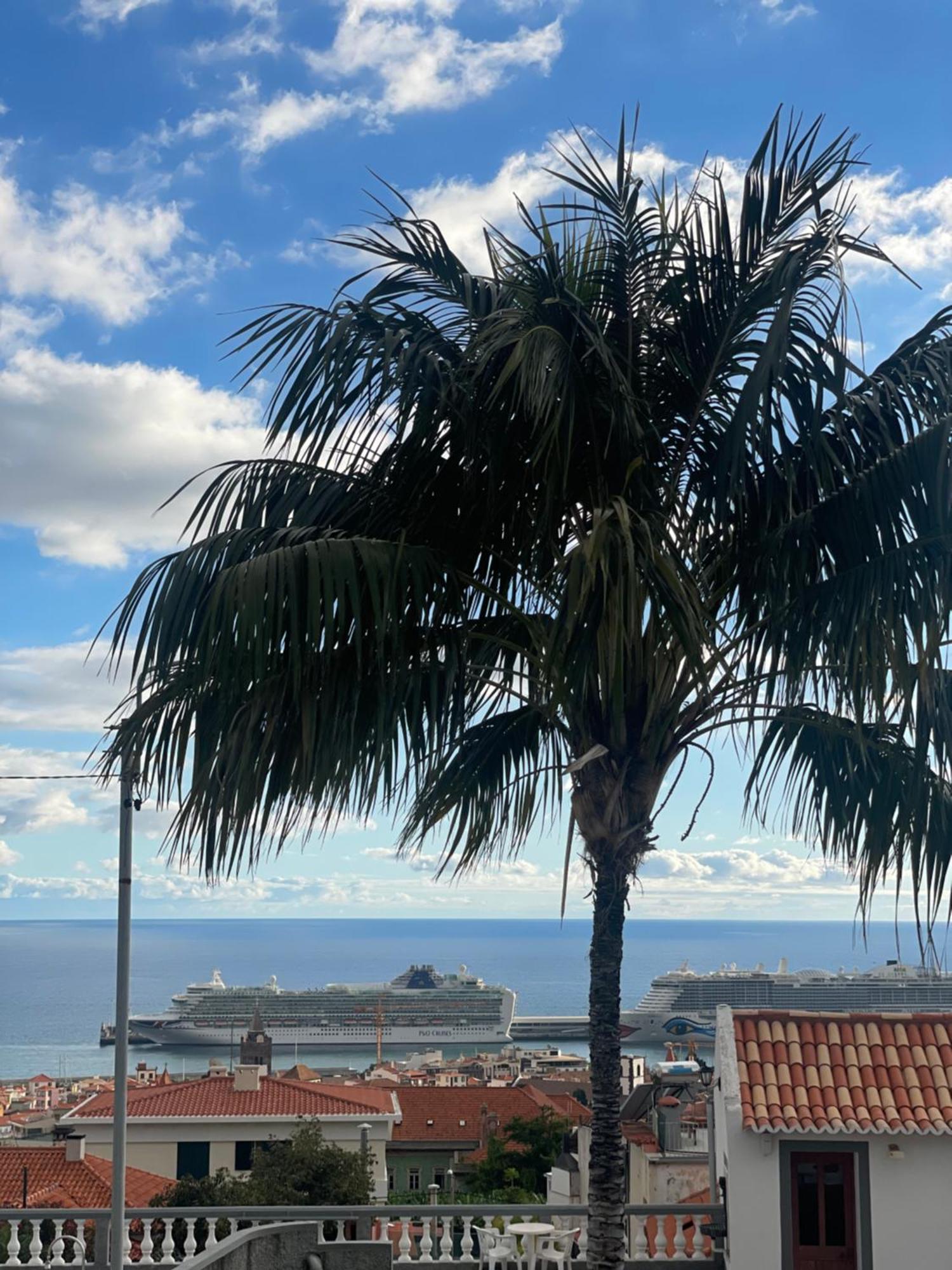 Valhalla Panorama - The Old Residencial Pina Funchal  Room photo