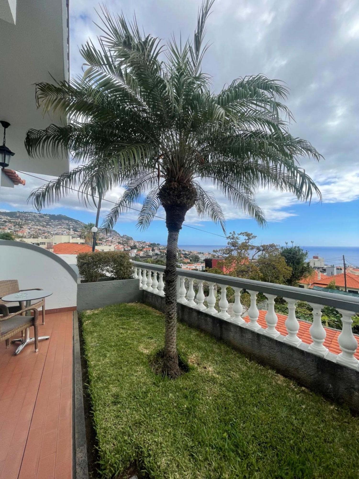 Valhalla Panorama - The Old Residencial Pina Funchal  Room photo